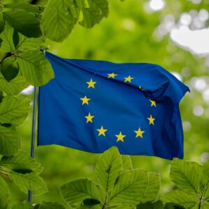 Green Mobility in Central and Eastern Europe Under EU Guidance : Where Do We Stand Today?