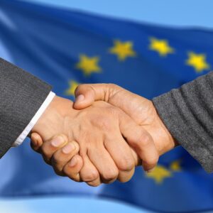 Priorities of the European Parliament VS Priorities of the European Societies : Do they align?